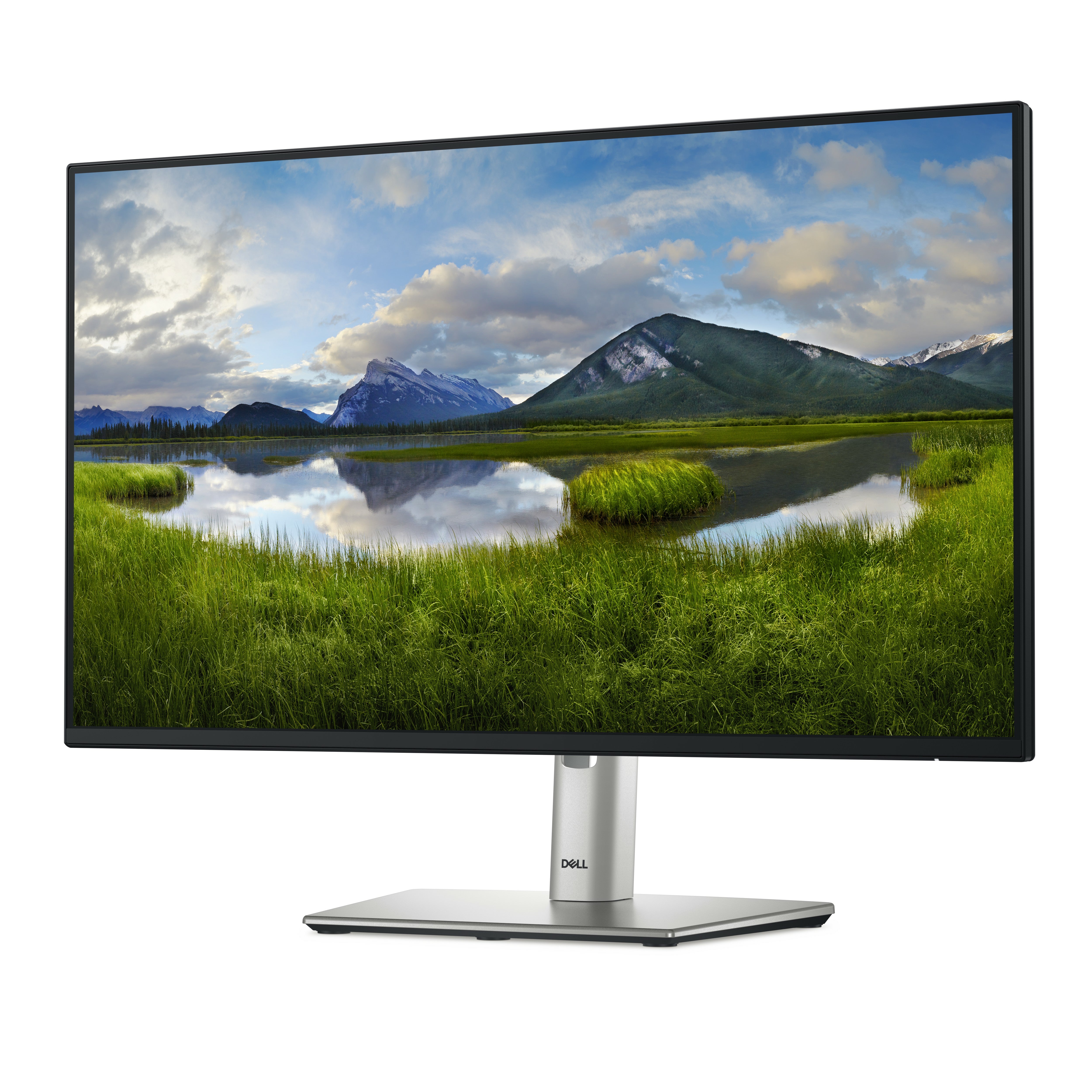 DELL 24 P2425H FHD IPS 16:9 PIVOT 100HZ USBC-15W