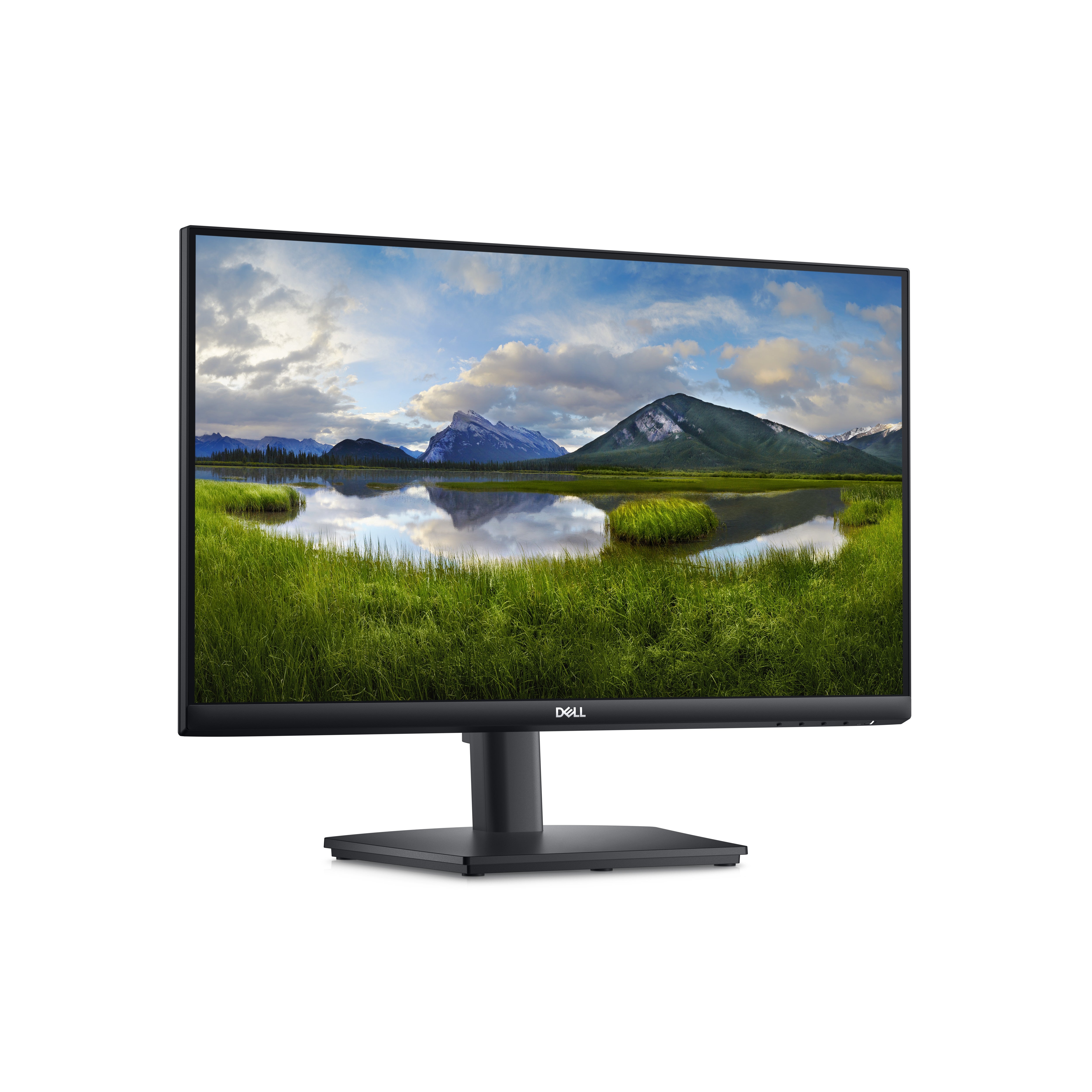 DELL 24 E2424HS