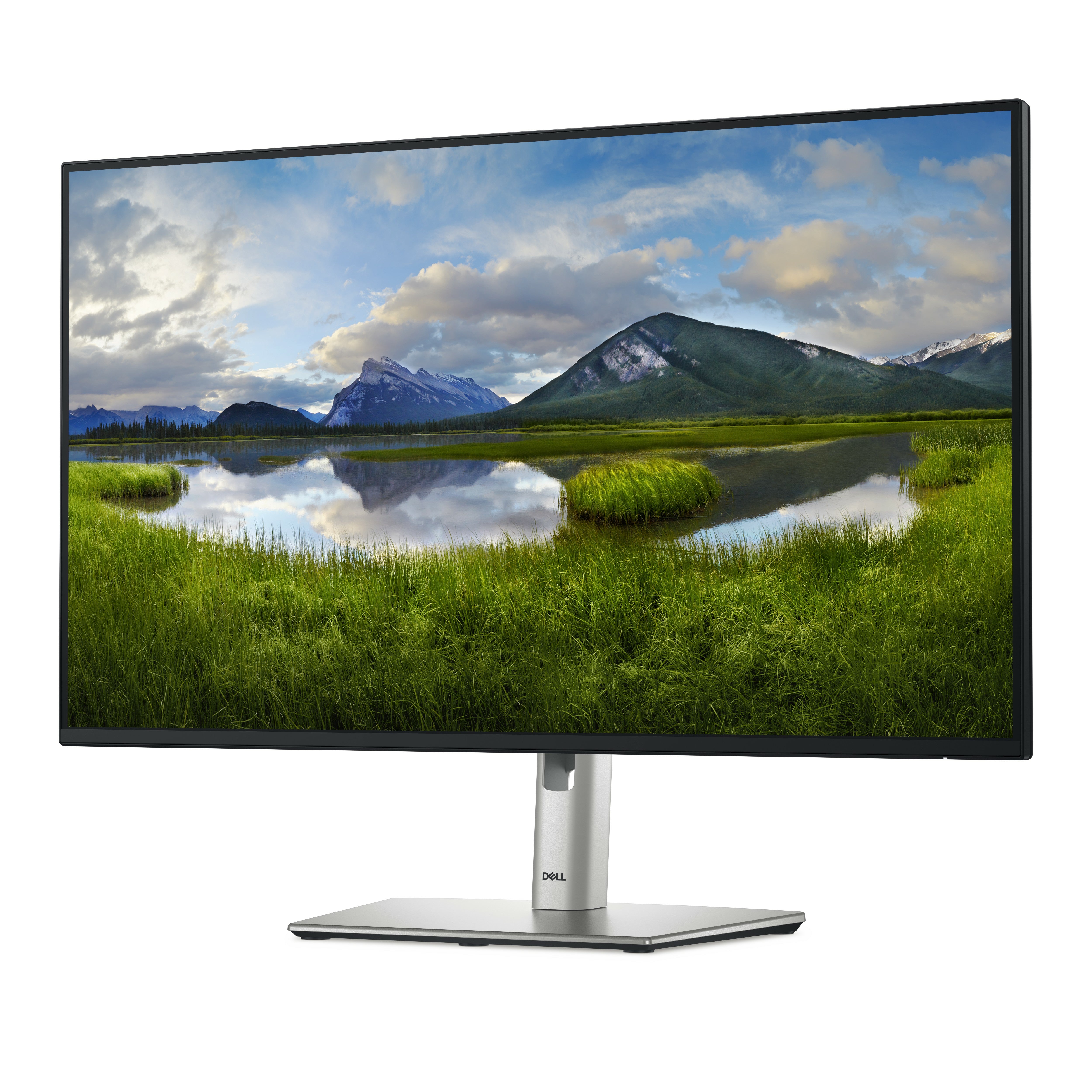 DELL 27 P2725H FHD IPS 16:9 PIVOT 100HZ USBC-15W