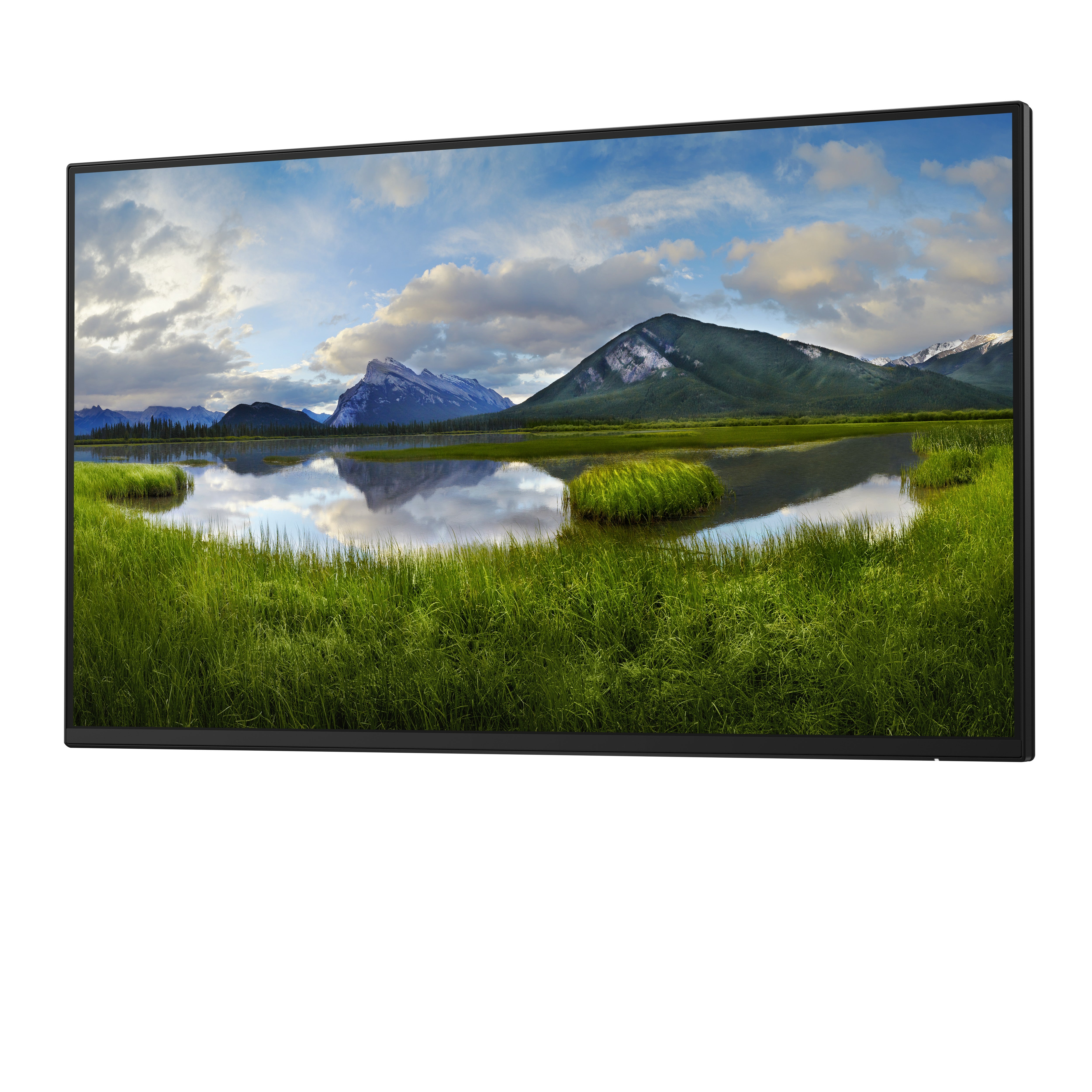 DELL 24 P2425H FHD IPS 16:9 PIVOT 100HZ USBC-15W (NO STAND)