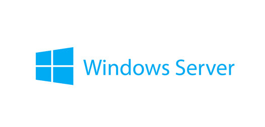 WINDOWS SERVER 2019 REMOTE DESKTOP SERVICES CLIENT ACCESS LICENSE (10 USER)