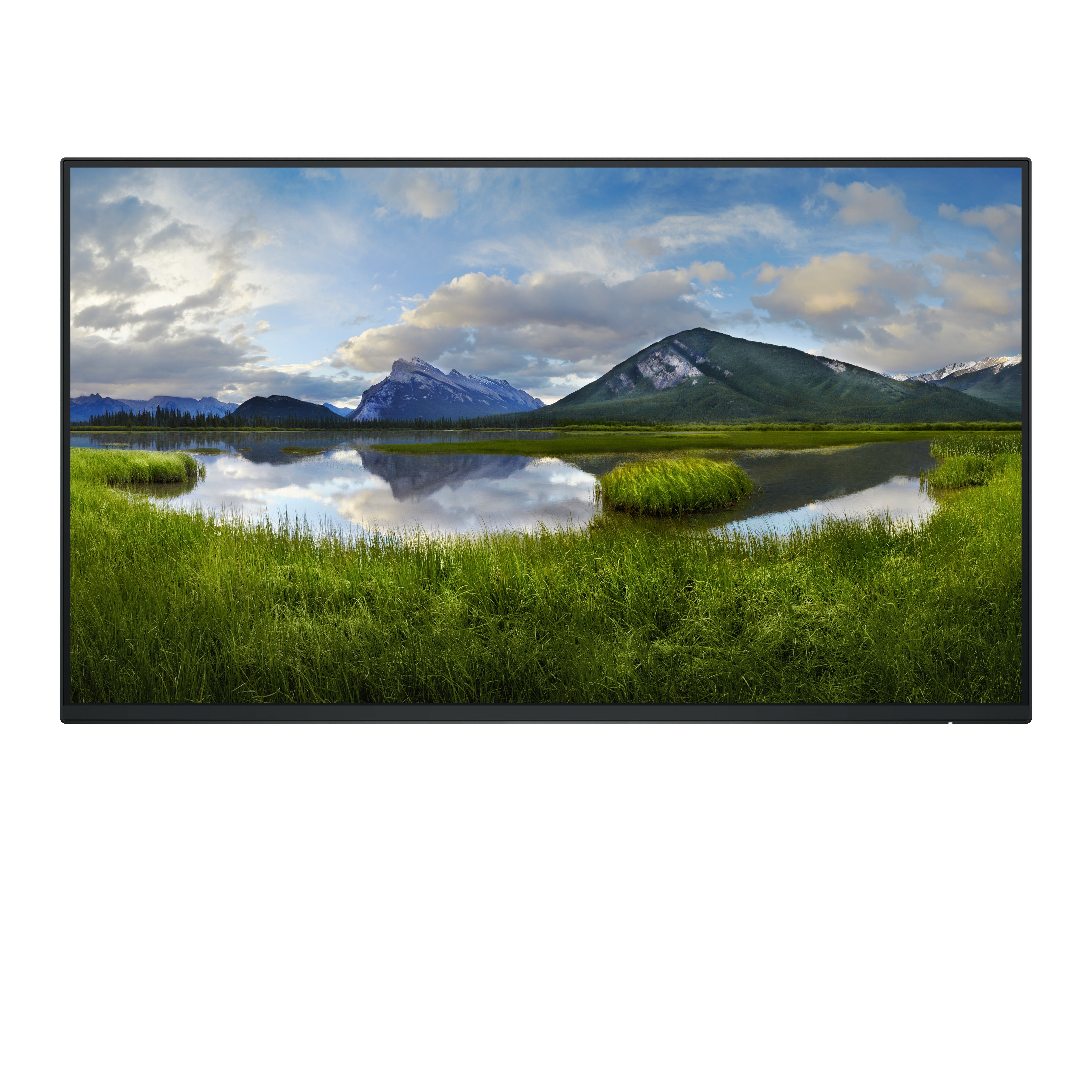 DELL 24 P2425H FHD IPS 16:9 PIVOT 100HZ USBC-15W (NO STAND)