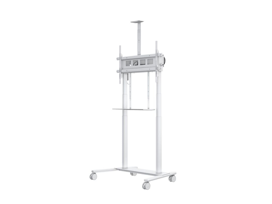 M MOTORIZED FLOORSTAND XL 150KG WHITE