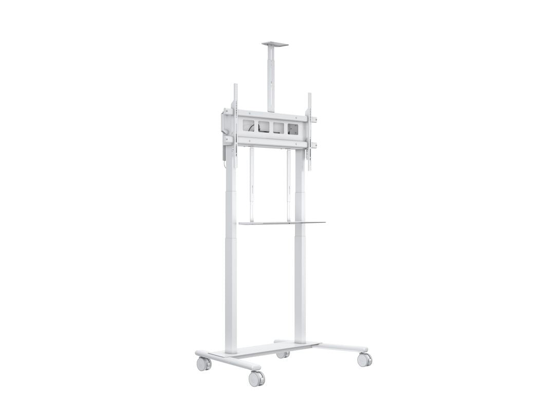 M MOTORIZED FLOORSTAND XL 150KG WHITE