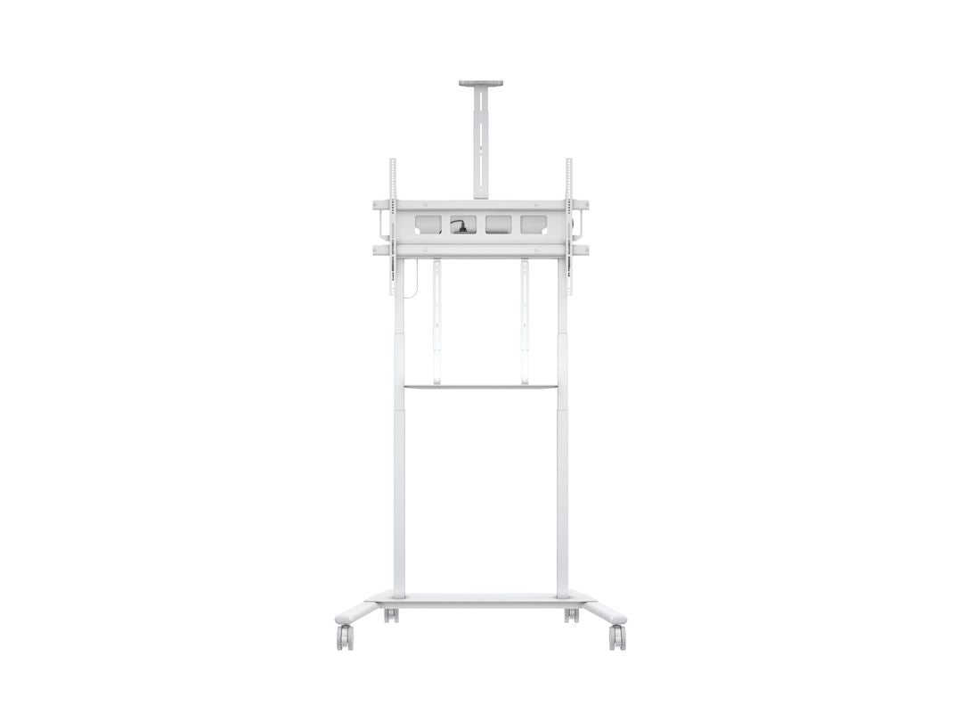 M MOTORIZED FLOORSTAND XL 150KG WHITE