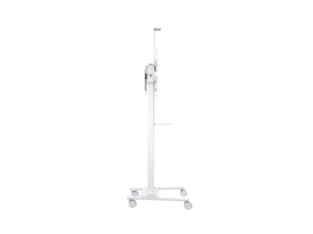 M MOTORIZED FLOORSTAND XL 150KG WHITE