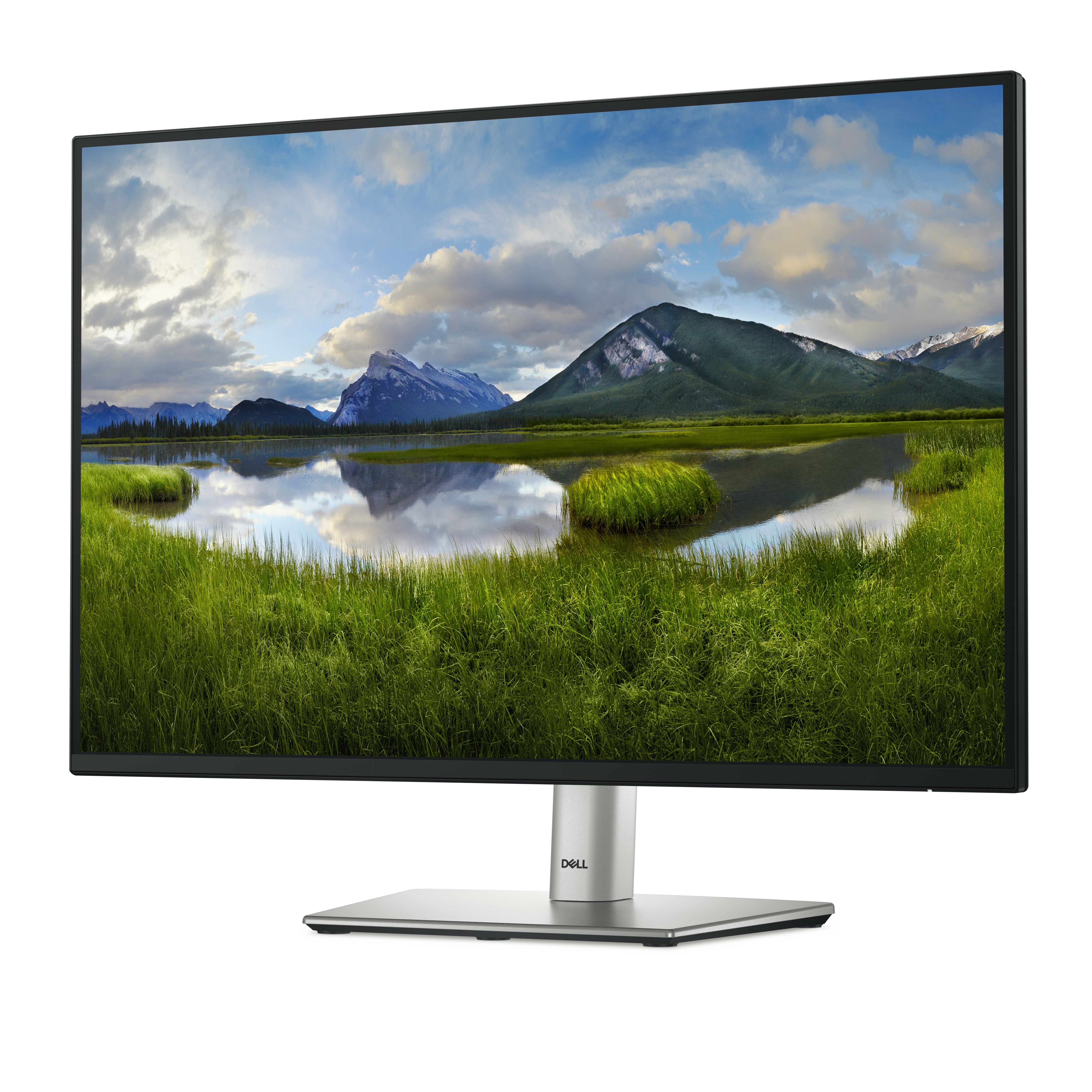 DELL 24 P2425 FHD+ IPS 16:10 PIVOT 100HZ USBC-15W