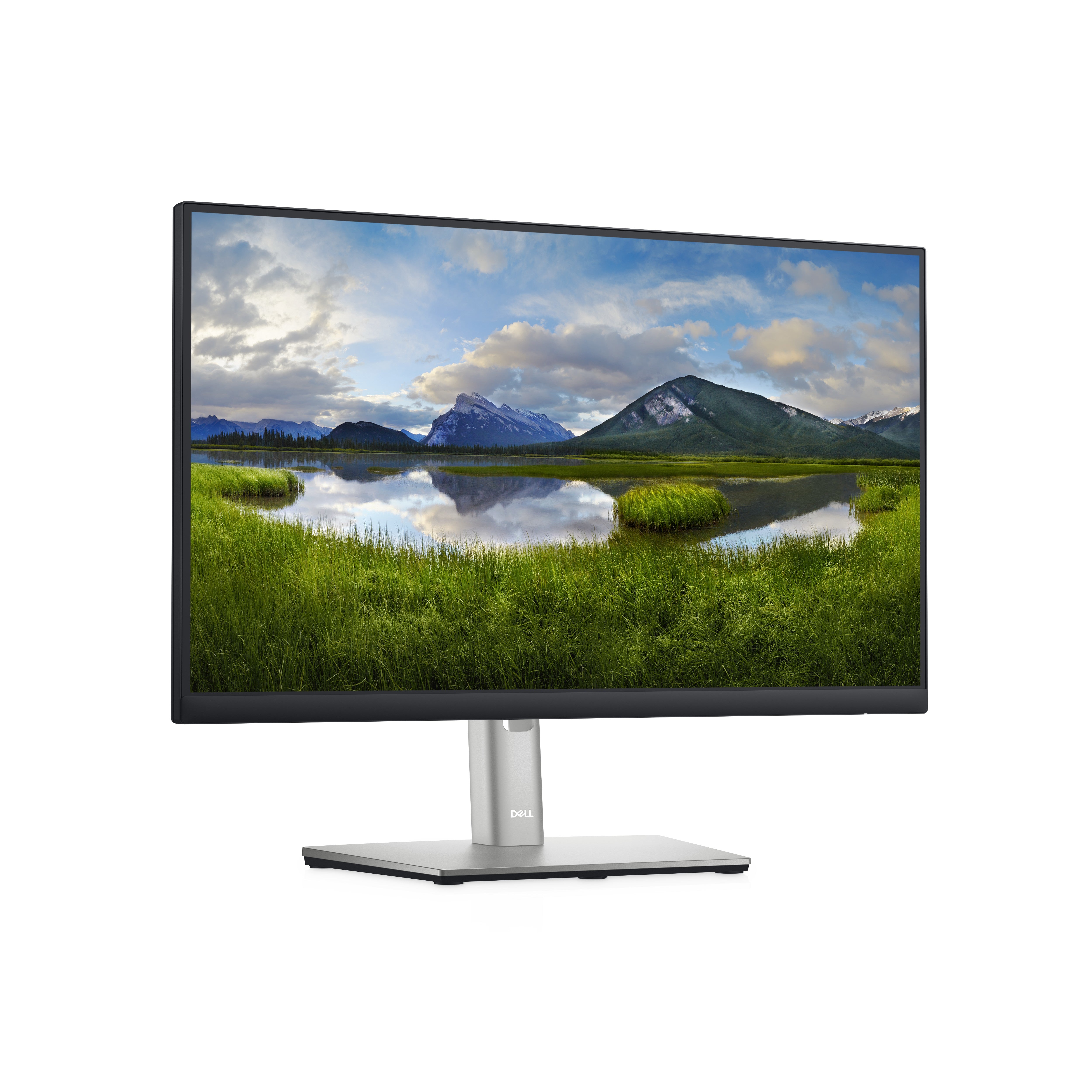 DELL 22 P2222H FHD IPS 16:9 PIVOT