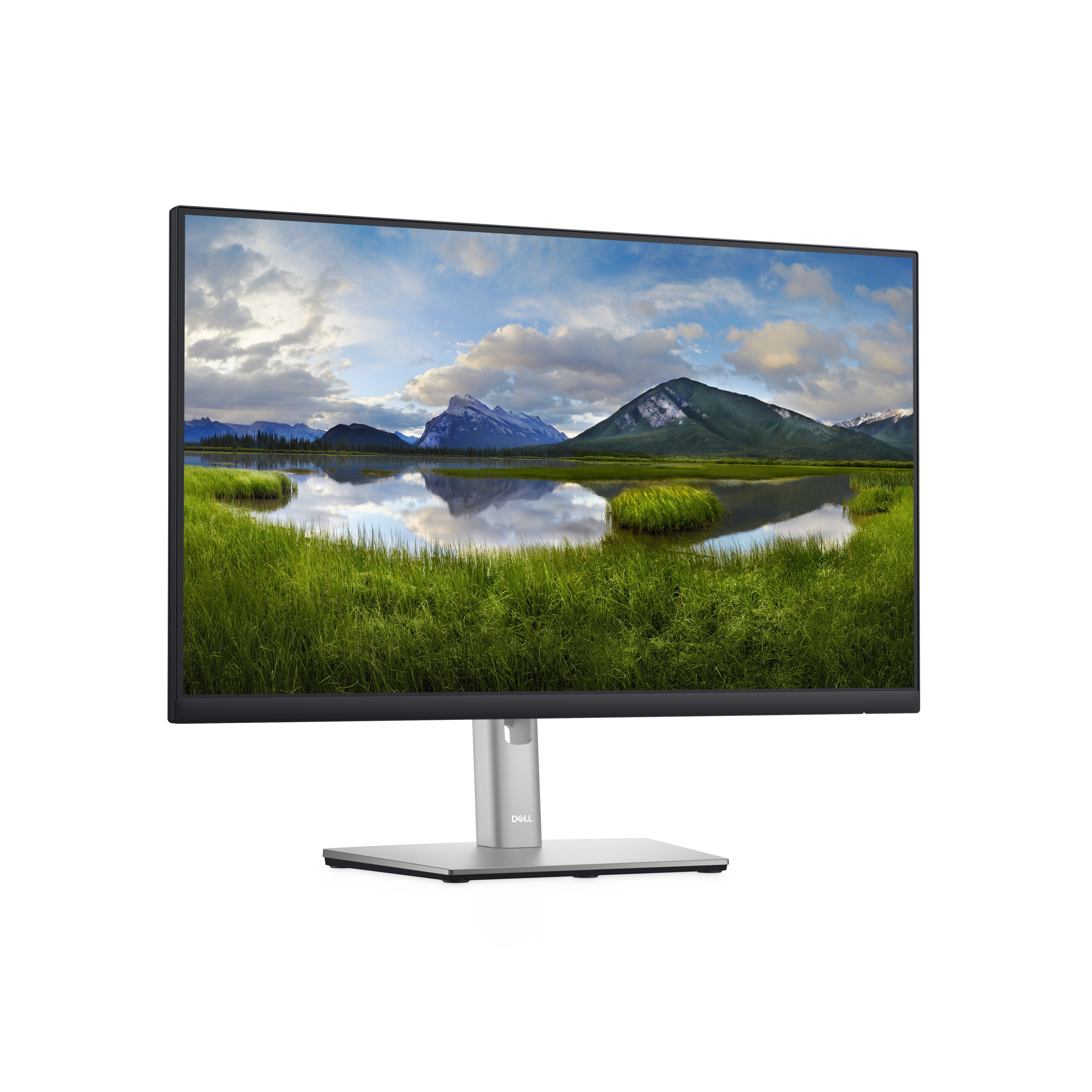 DELL 24 P2422H FHD IPS 16:9 PIVOT