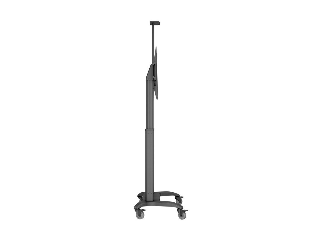 M MOTORIZED PUBLIC FLOORSTAND DUAL PILLAR 180 HD