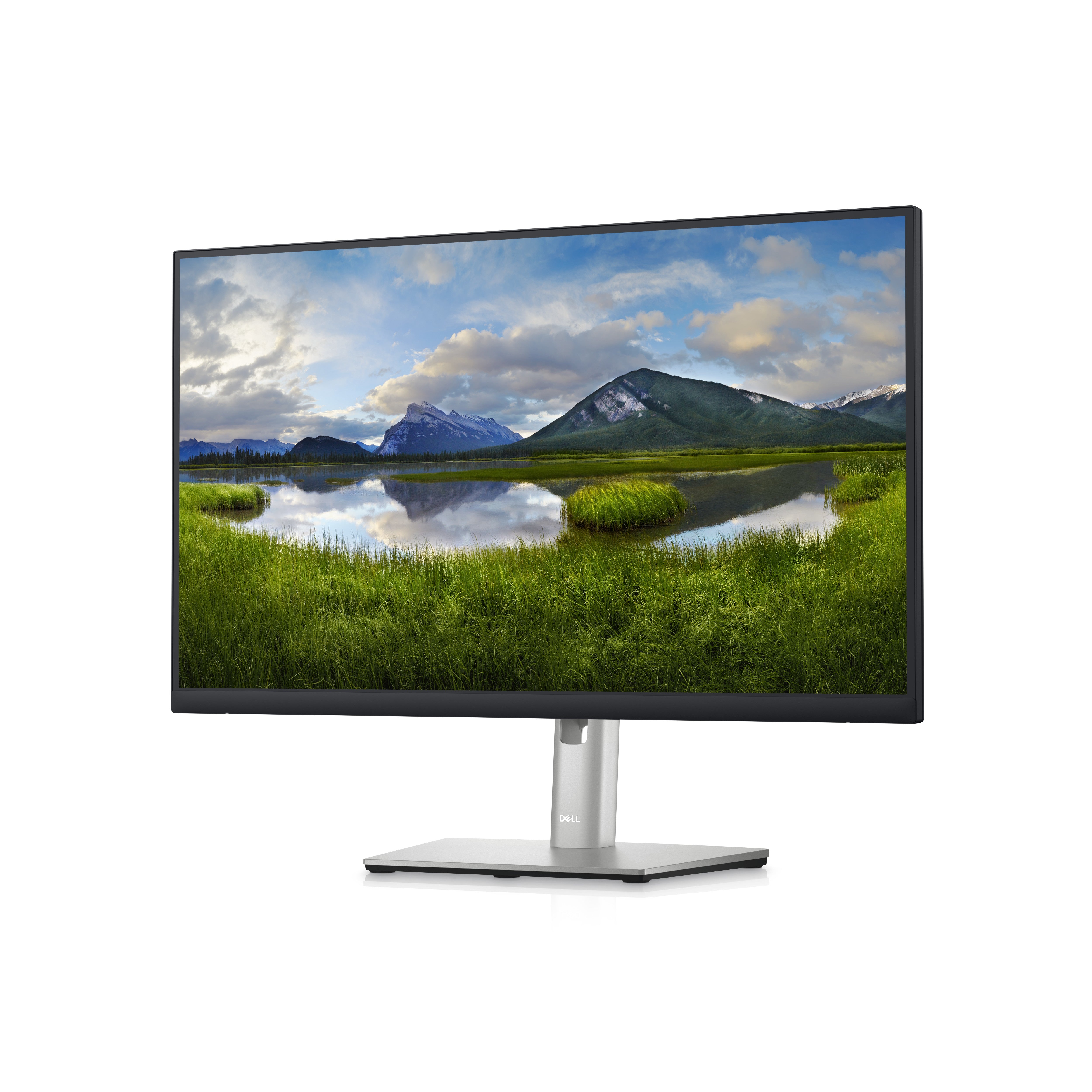 DELL 24 P2423D QHD IPS 16:9 PIVOT