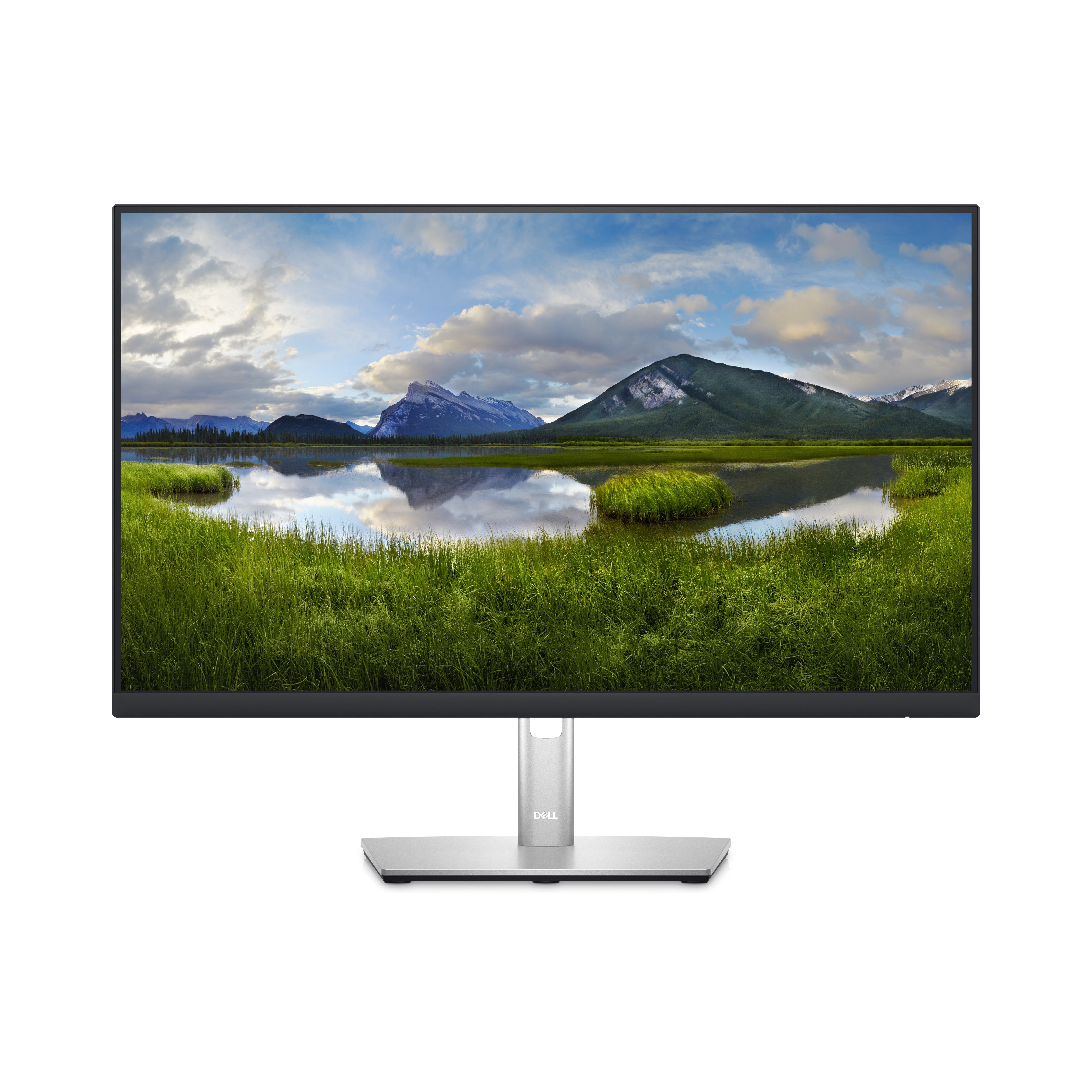 DELL 24 P2423D QHD IPS 16:9 PIVOT