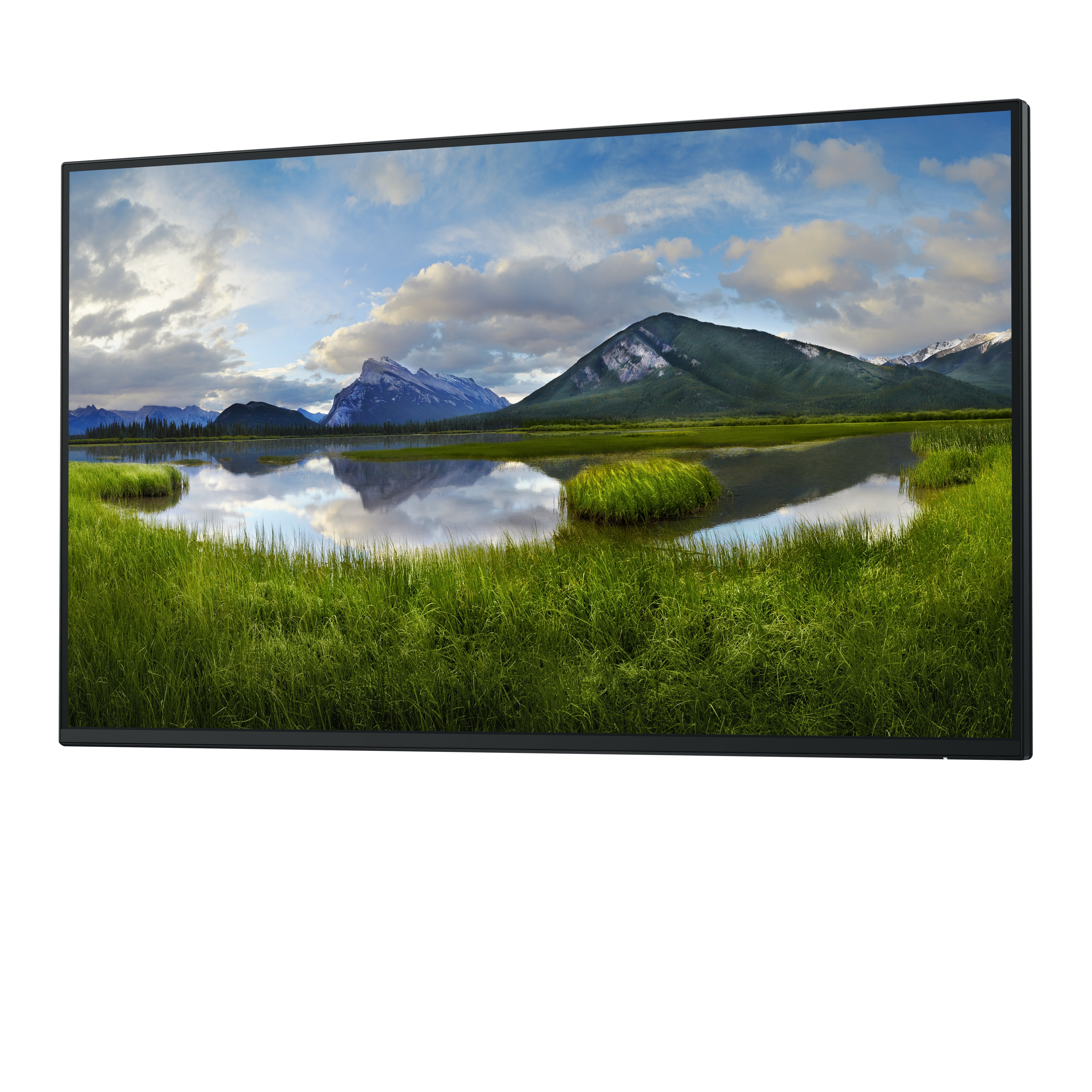 DELL 27 P2725H FHD IPS 16:9 PIVOT 100HZ USBC-15W (NO STAND)