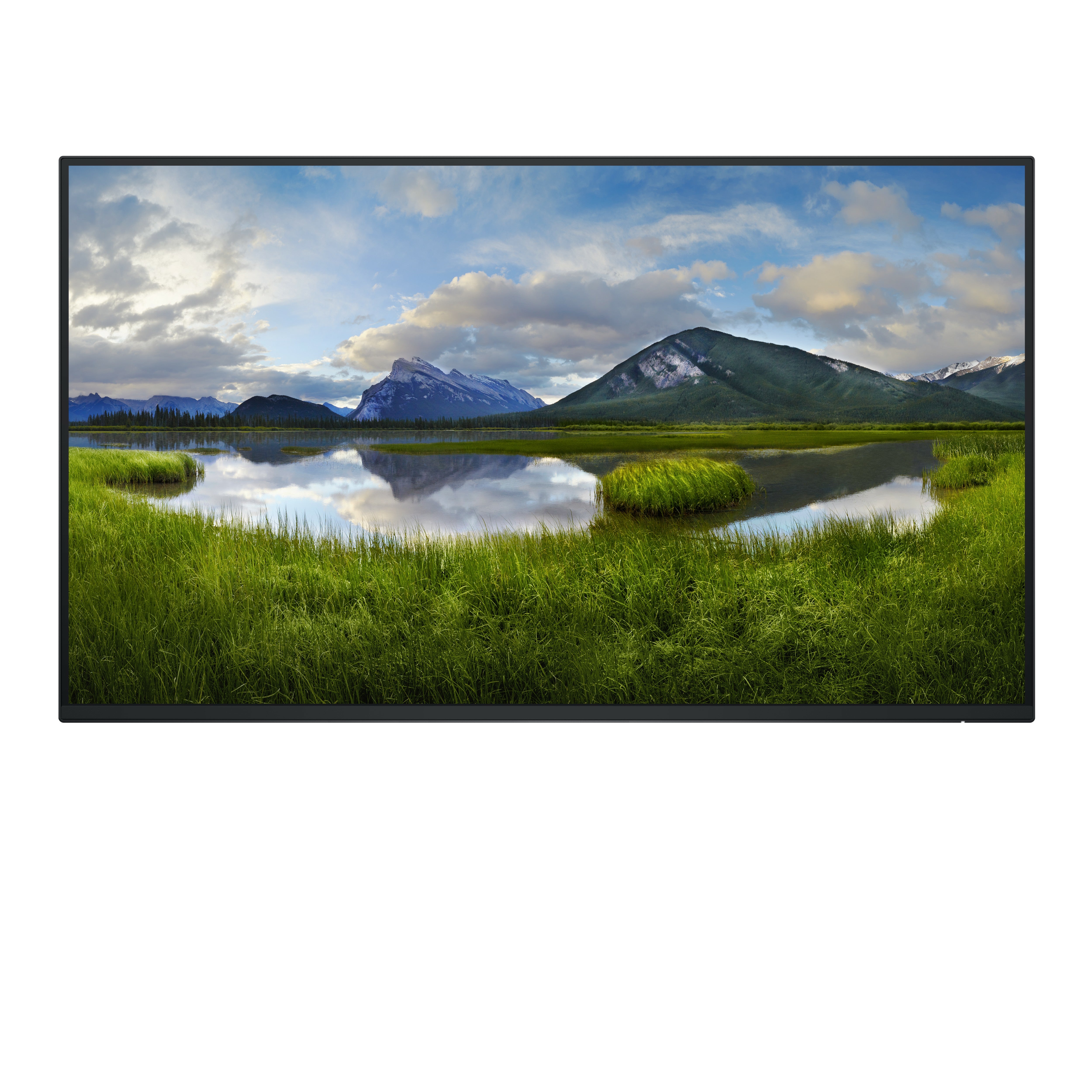 DELL 27 P2725H FHD IPS 16:9 PIVOT 100HZ USBC-15W (NO STAND)