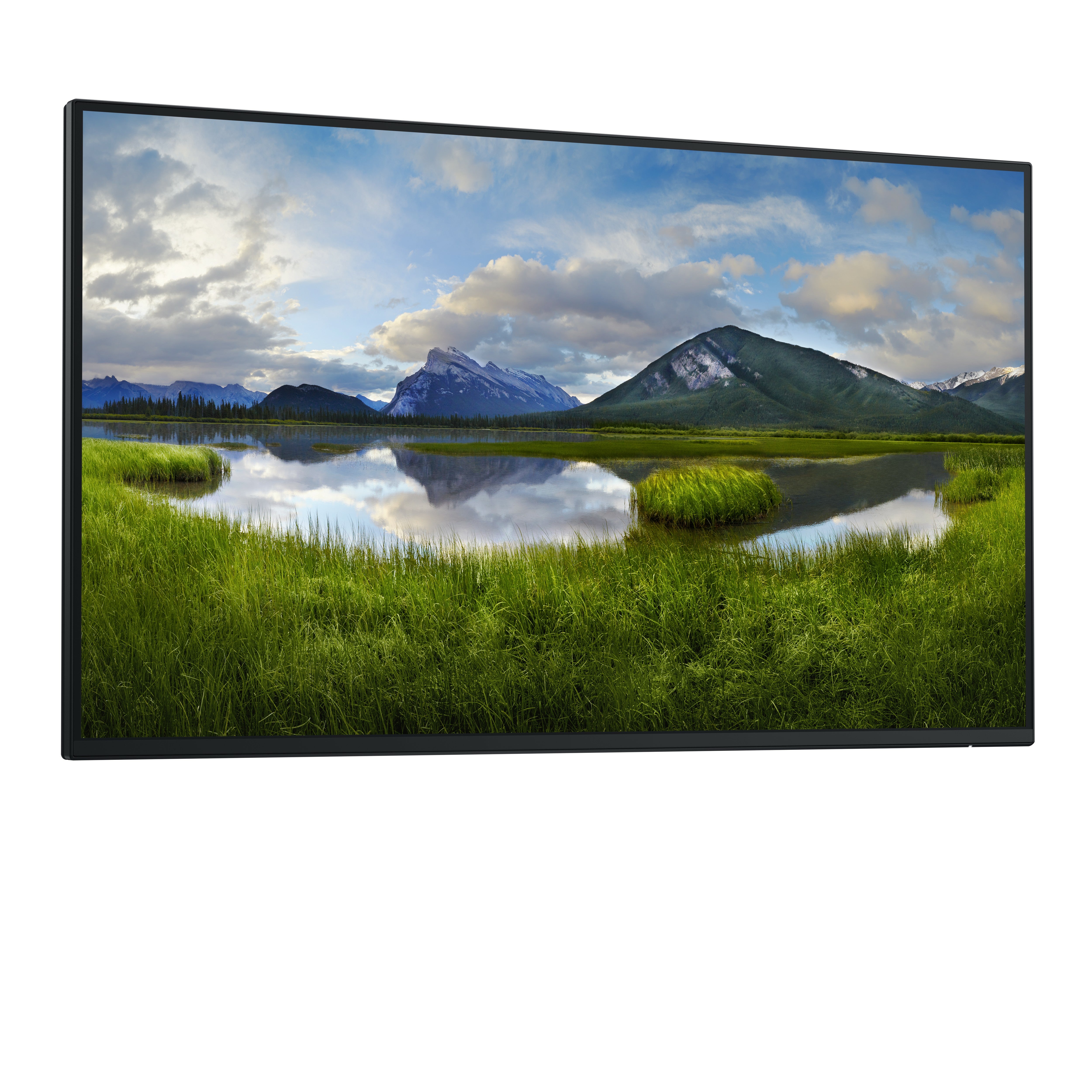 DELL 27 P2725H FHD IPS 16:9 PIVOT 100HZ USBC-15W (NO STAND)