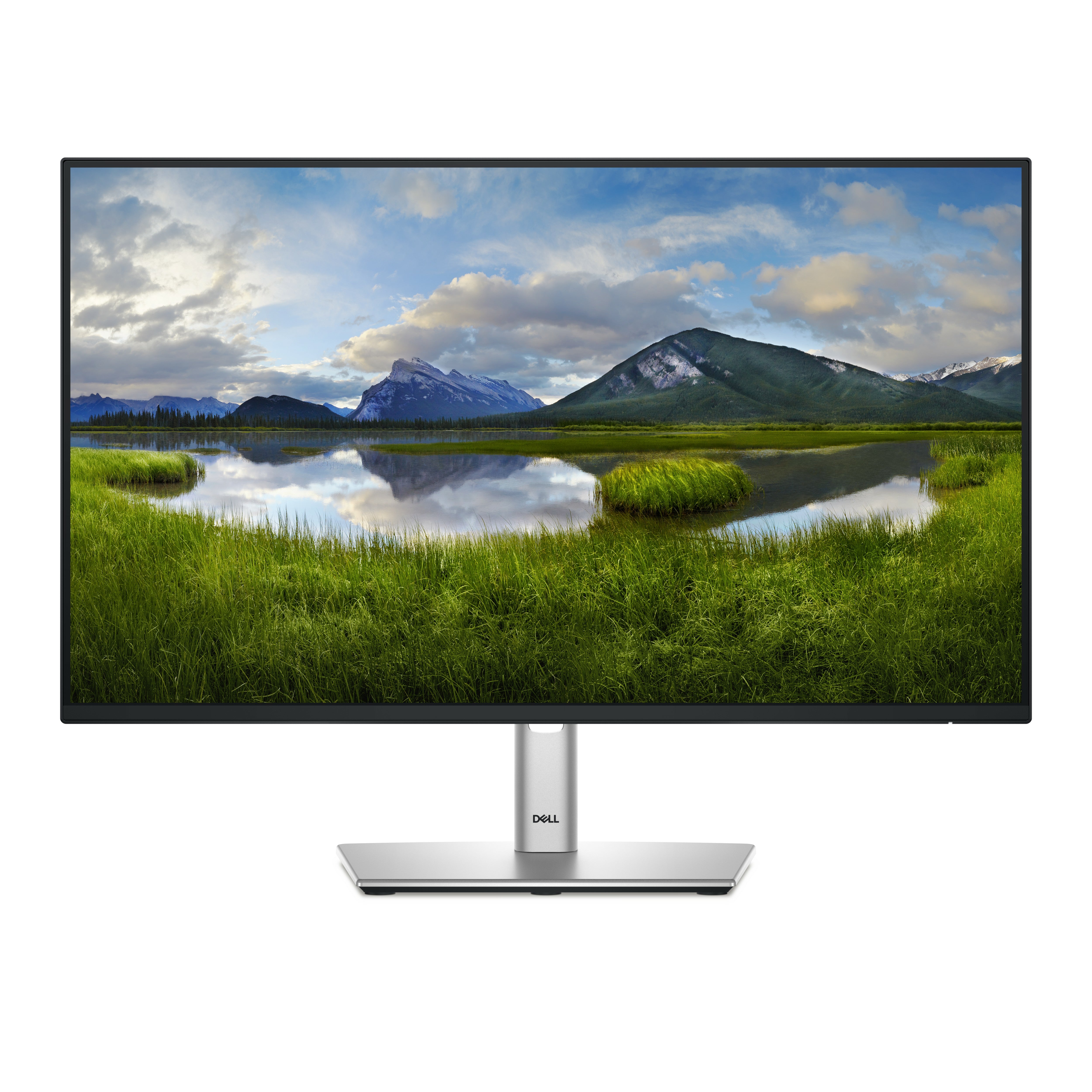 DELL 24 P2425HE FHD IPS 16:9 PIVOT 100HZ USBC-90W RJ45