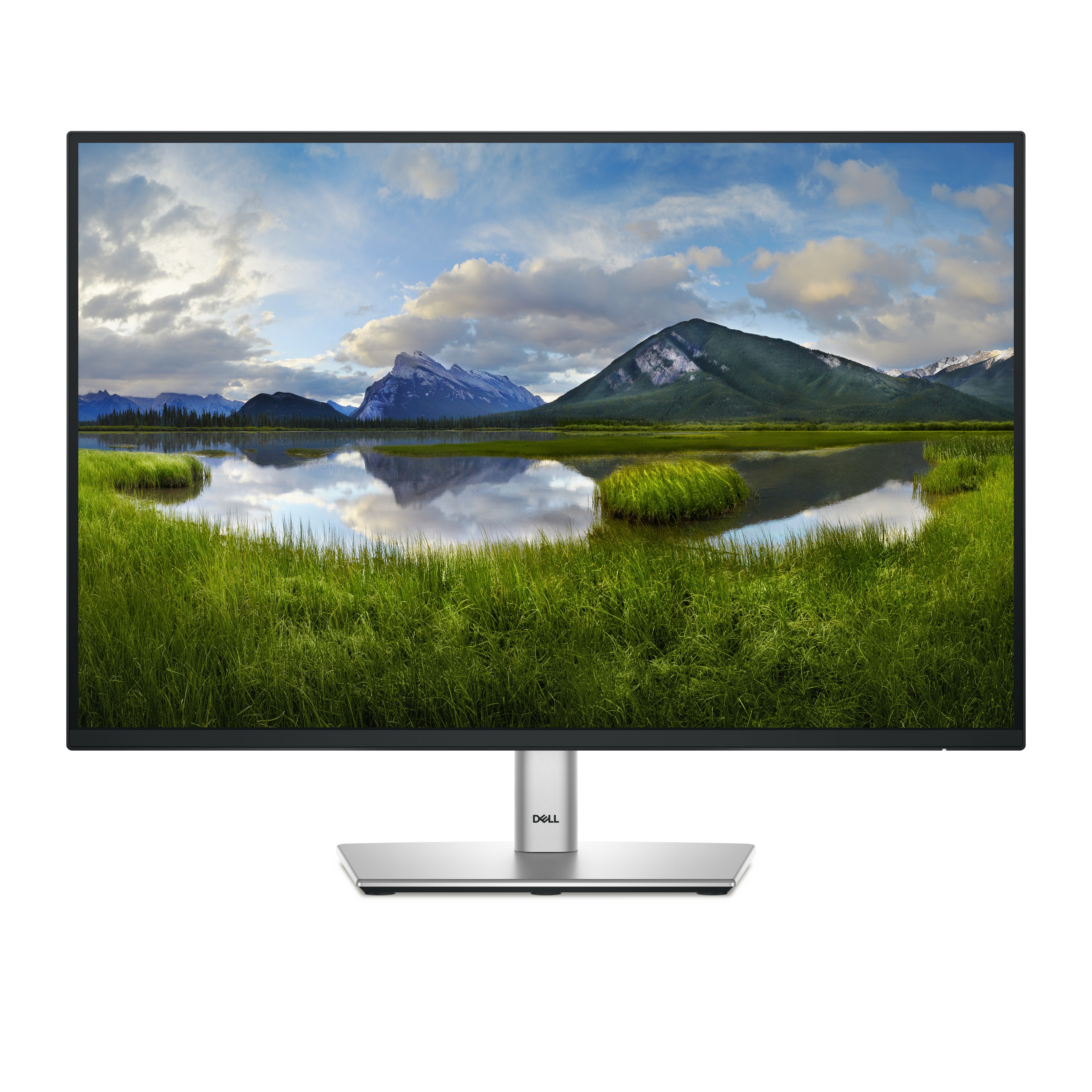 DELL 24 P2425 FHD+ IPS 16:10 PIVOT 100HZ USBC-15W